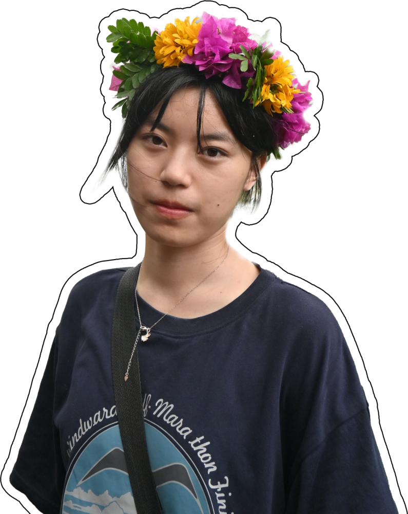 This image has been removed. For security reasons, only images from the local domain are allowed. Image removed.