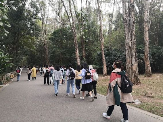 同学们在华南植物园参观